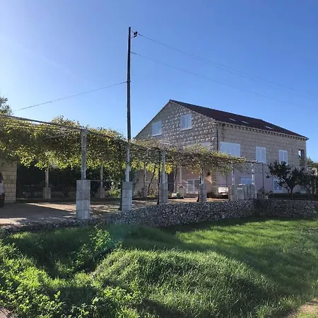 Pansion Marinka-bire