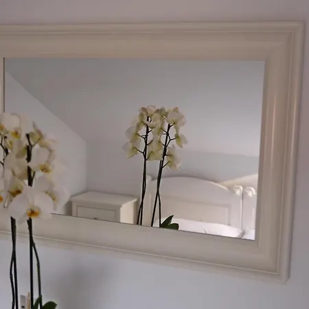 Pansion Marinka-bire