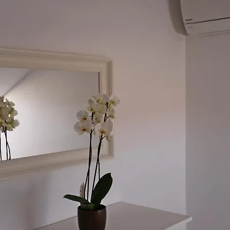 Pansion Marinka-bire Отель типа 