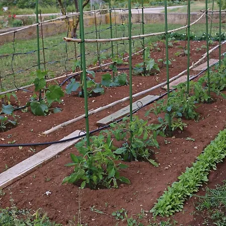 Alojamento de Acomodação e Pequeno-almoço Pansion Marinka-bire *