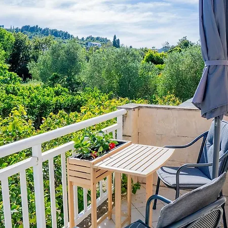 Bed & Breakfast Pansion Marinka-bire